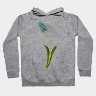 Muscari Hoodie